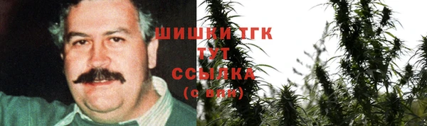 молекула духа Козловка