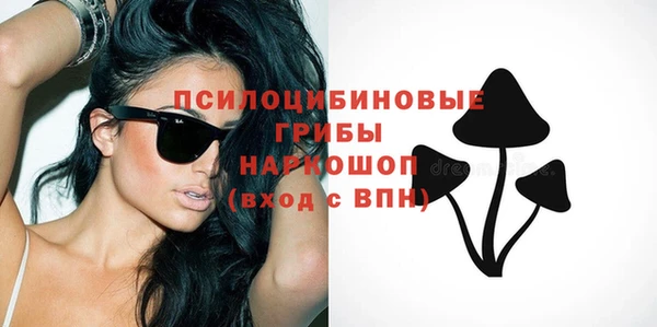 молекула духа Козловка