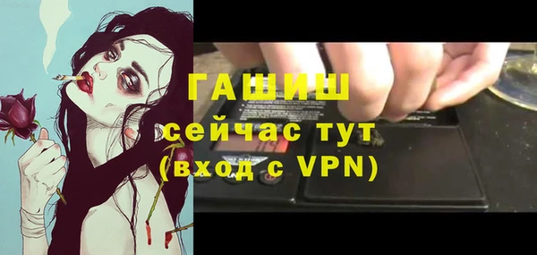 молекула духа Козловка