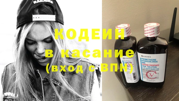 молекула духа Козловка
