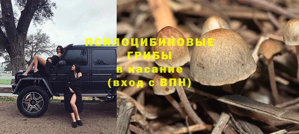 ALPHA-PVP Кодинск