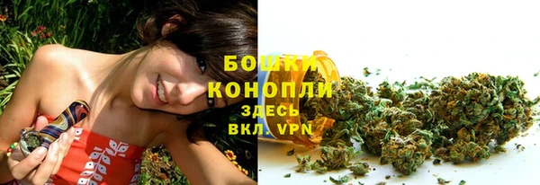 молекула духа Козловка