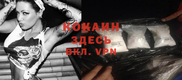 молекула духа Козловка