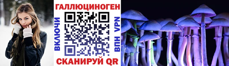 Купить закладки  Сергач  Псилоцибиновые грибы Magic Shrooms 
